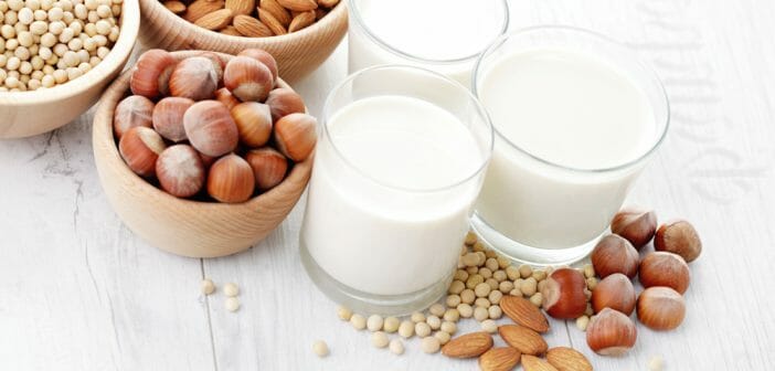 Quel est le lait végétal le plus gras